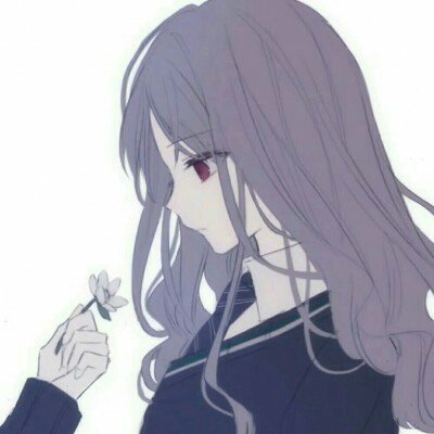 洪朝阳确定不会参与浪姐后续录制